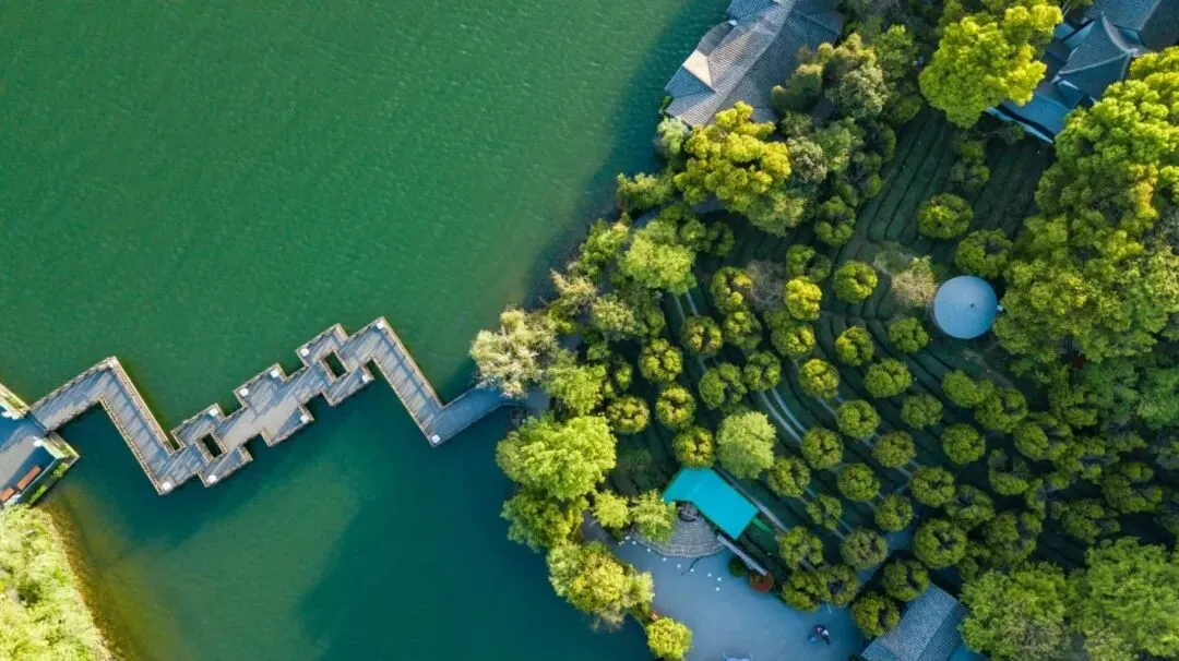 d2e185fd89100ef0c35e2d7289245685-sz_126493