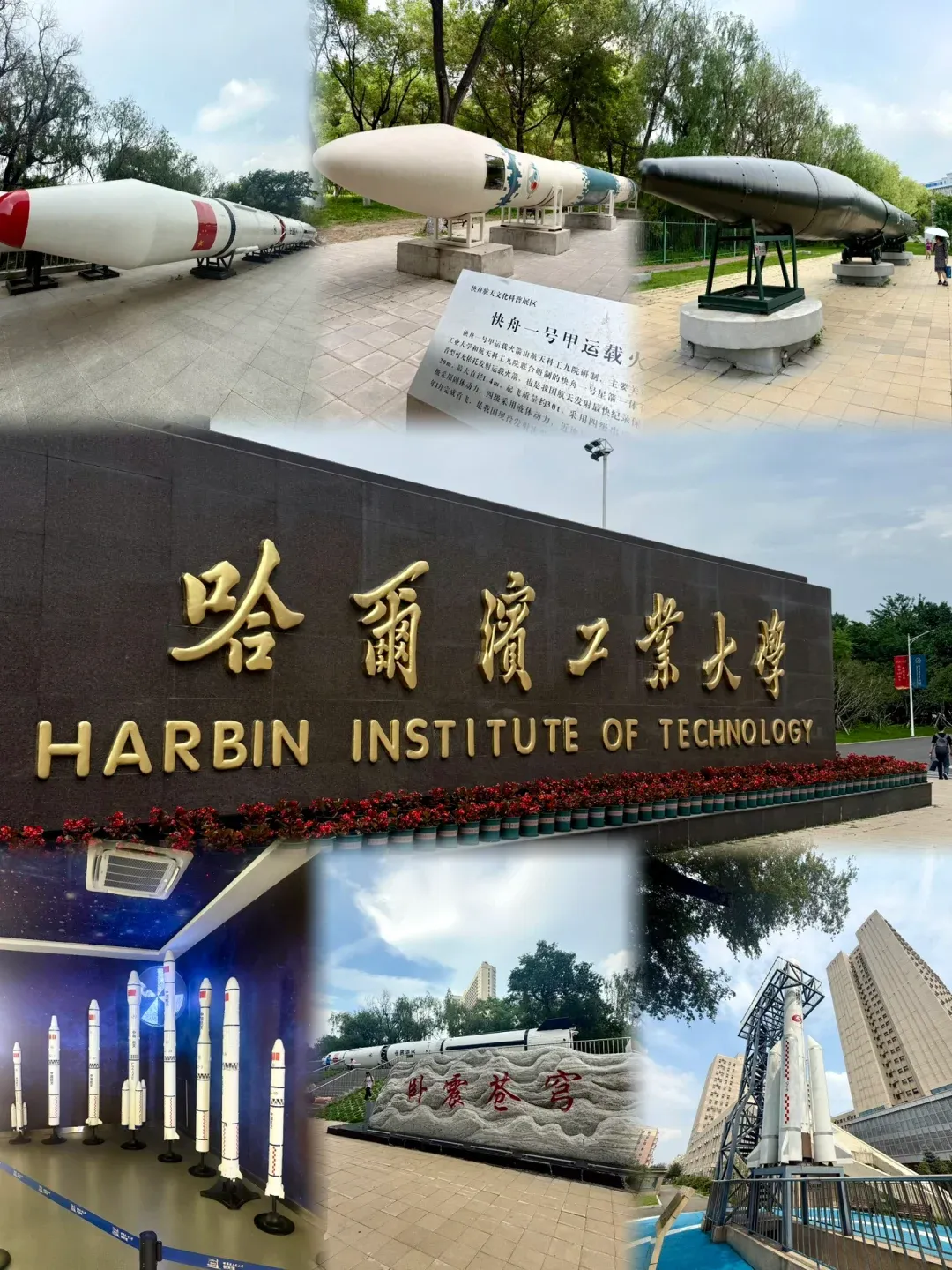 d2e307316cc882f6200dc18e6e1721c0-sz_2569916