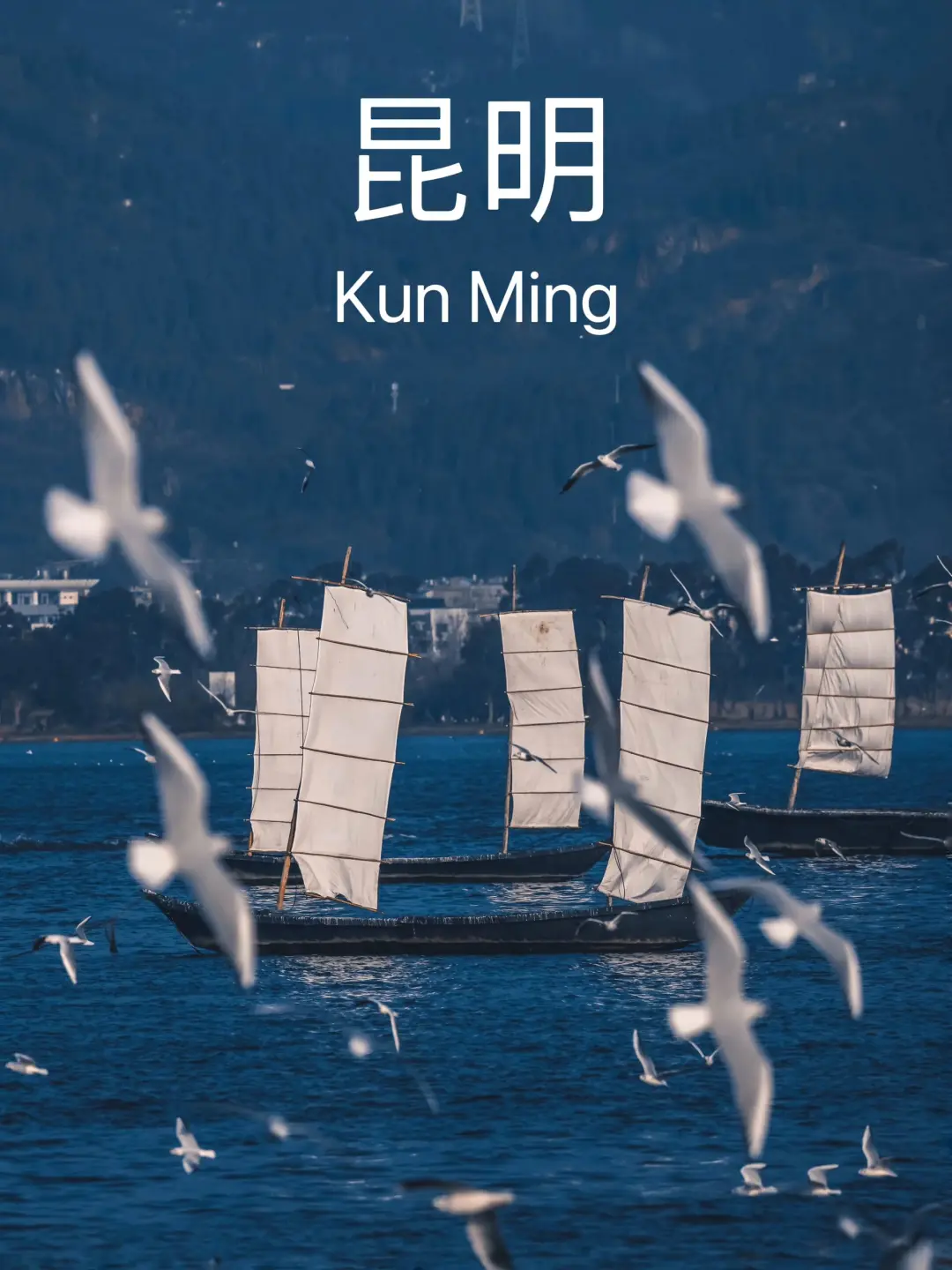 d30bebc9e7aa8c37537edc1b39e748ca-sz_367661