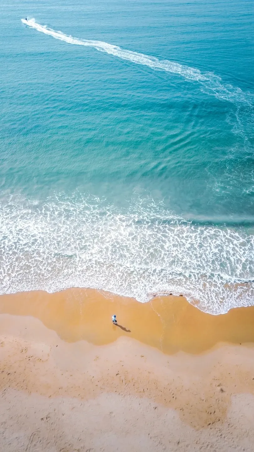 d313c3f3e15b2b594764b003aa81ad1b-sz_481094-1