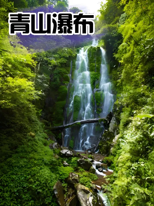 【世界瑶都&康养金秀】广西金秀双卧8日游探秘大瑶山盘王界-青山瀑布-小三峡圣堂湖-银杉森林公园-木达木弄