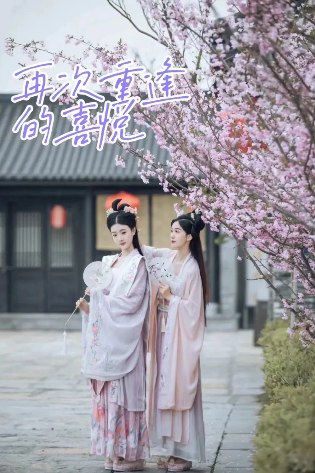 d349832cd9ab920d926dcb884b2159d6-sz_498656 d349832cd9ab920d926dcb884b2159d6-sz_498656