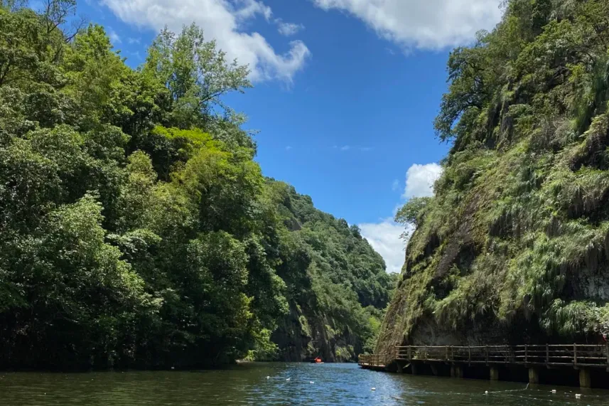 d3772a7135c9600f0ee6f274a32f6fda-sz_1371448-1