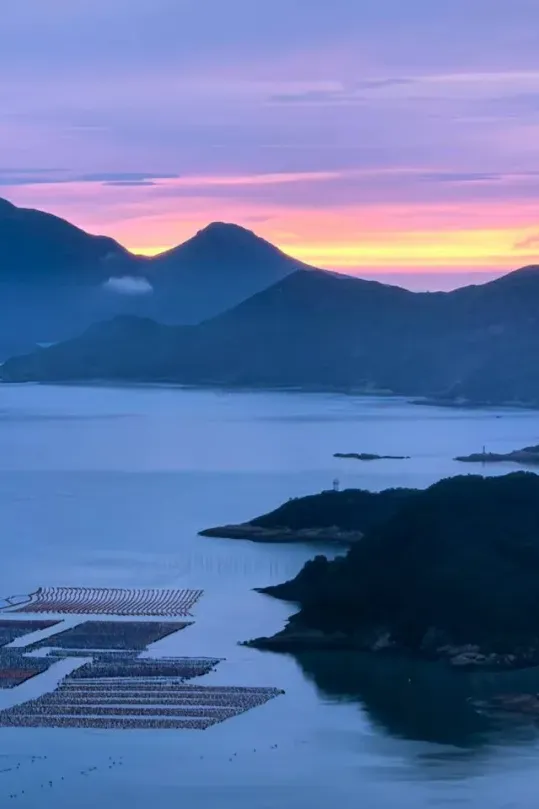 d37eb60bf6fd56083e8d9c3bf602bad5-sz_501569 d37eb60bf6fd56083e8d9c3bf602bad5-sz_501569