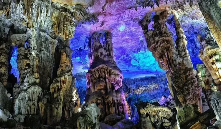 d3a5b628bc3c9f2f4f42a60ea2aba407-sz_217164