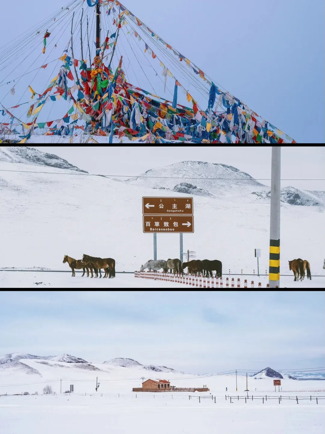 d3a964df85d358bb7837427939b3be1d-sz_314878