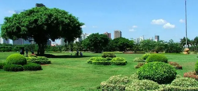 d3ba89d2991ed47a86f955f7be55647f-sz_43654 d3ba89d2991ed47a86f955f7be55647f-sz_43654