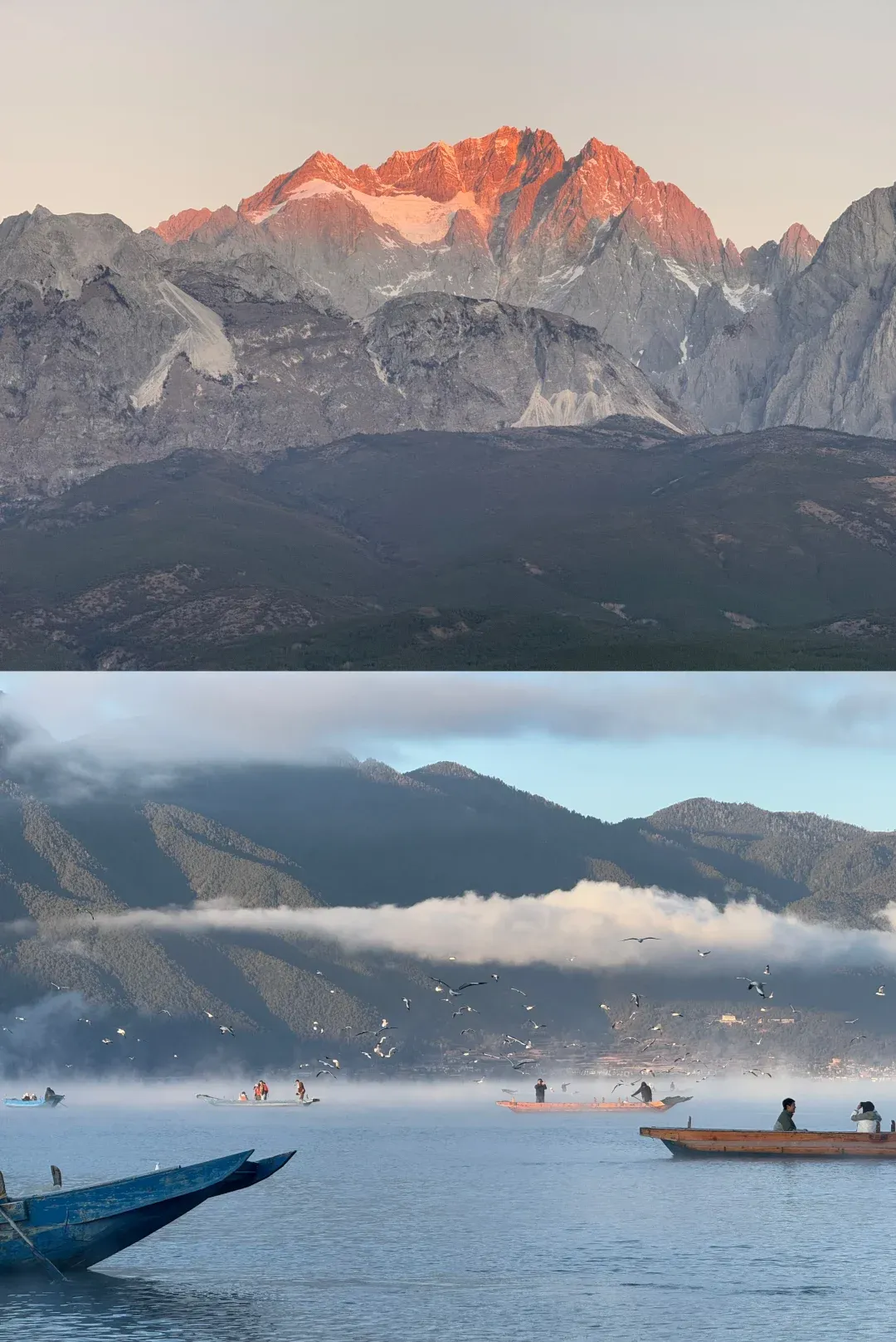 d3ff0172dc9e906f906c78a9000b90dc-sz_2257700