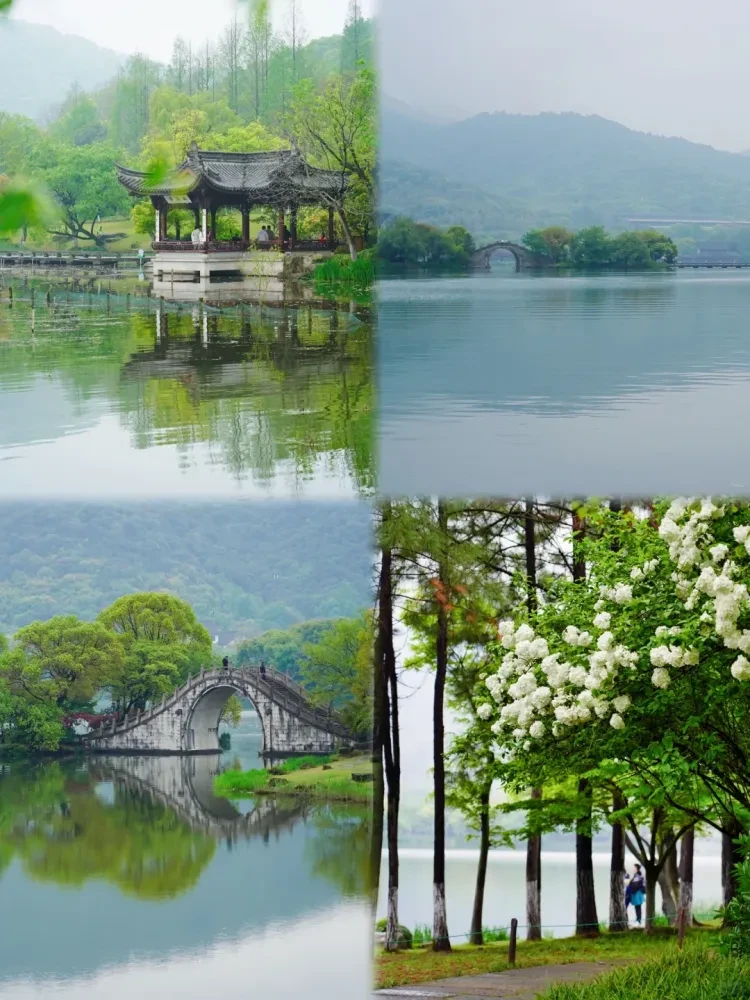 d4015e60a951395330af1694d74d9331-sz_3236171-1 d4015e60a951395330af1694d74d9331-sz_3236171-1