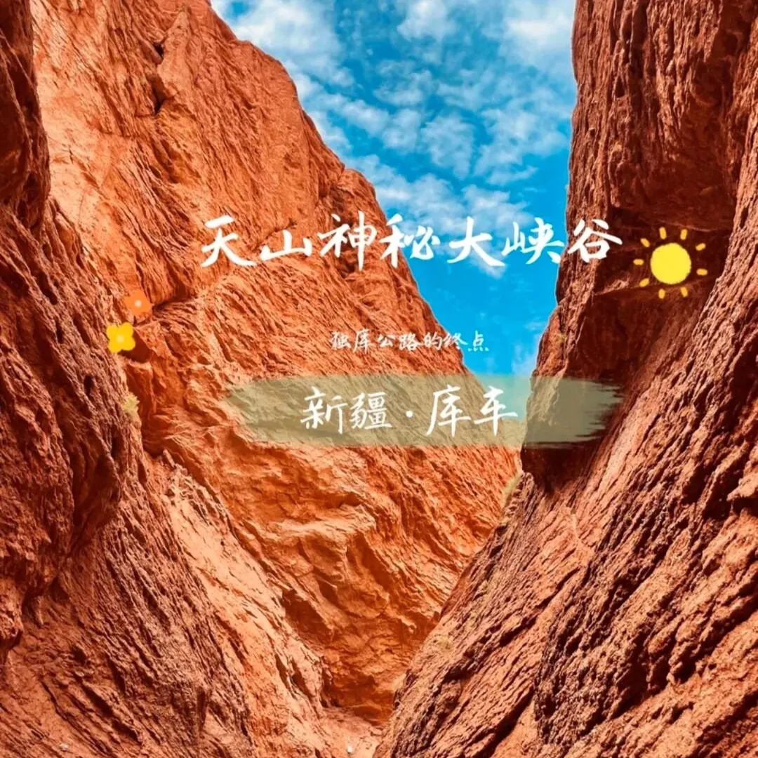 d408ee5e62947fa73f937d03b7759522-sz_361670-1