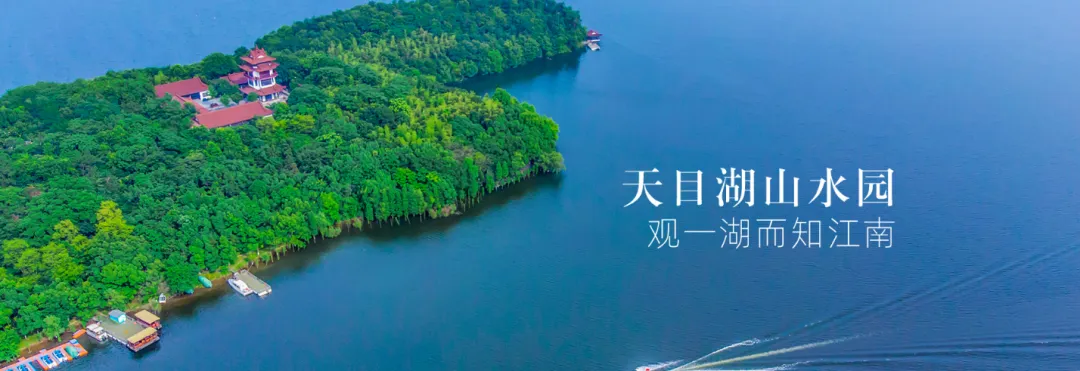 d41f9475879c321431d8c9c252f0ba5f-sz_773057