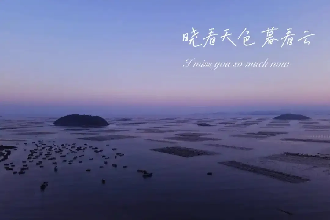 d42061c0a06ed6035a9eabaf2d3b3c66-sz_69539