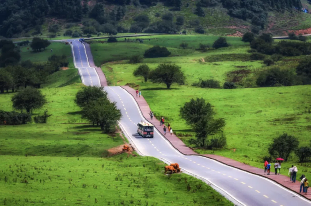 d42ef062c2755f15f8069596e00d6df6-sz_2088007