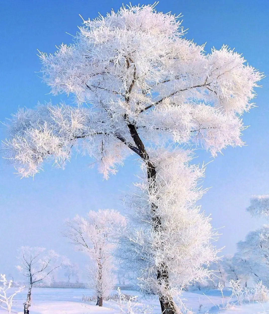 d430d2ef0382d8604024863cefa551c0-sz_2946728 d430d2ef0382d8604024863cefa551c0-sz_2946728