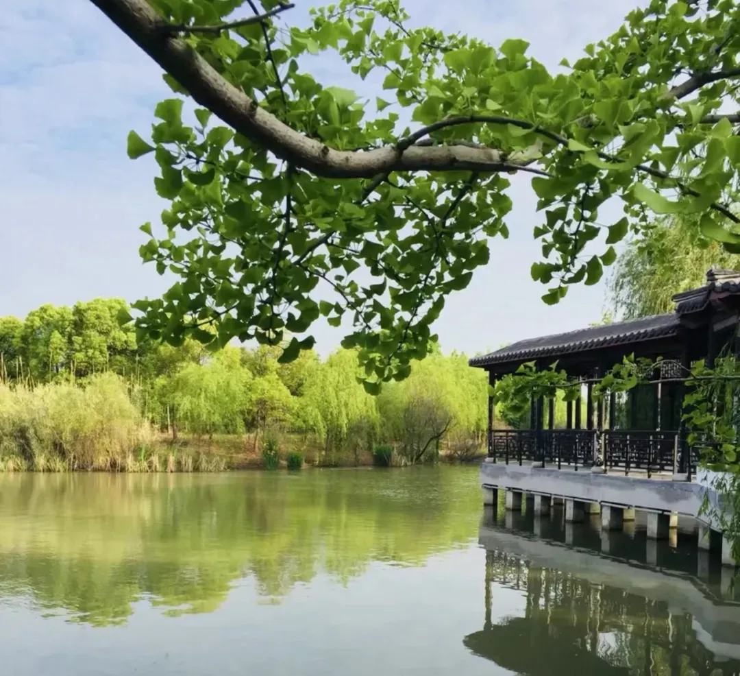 d43d0d971df9c536998aeaa3c4ac824c-sz_1374642 d43d0d971df9c536998aeaa3c4ac824c-sz_1374642