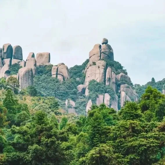 d44006bcb10a9cb71e0579ad7269a57d-sz_165435