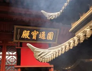 d443f354f2b239fbec4c0a8a6df1b72c-sz_131446