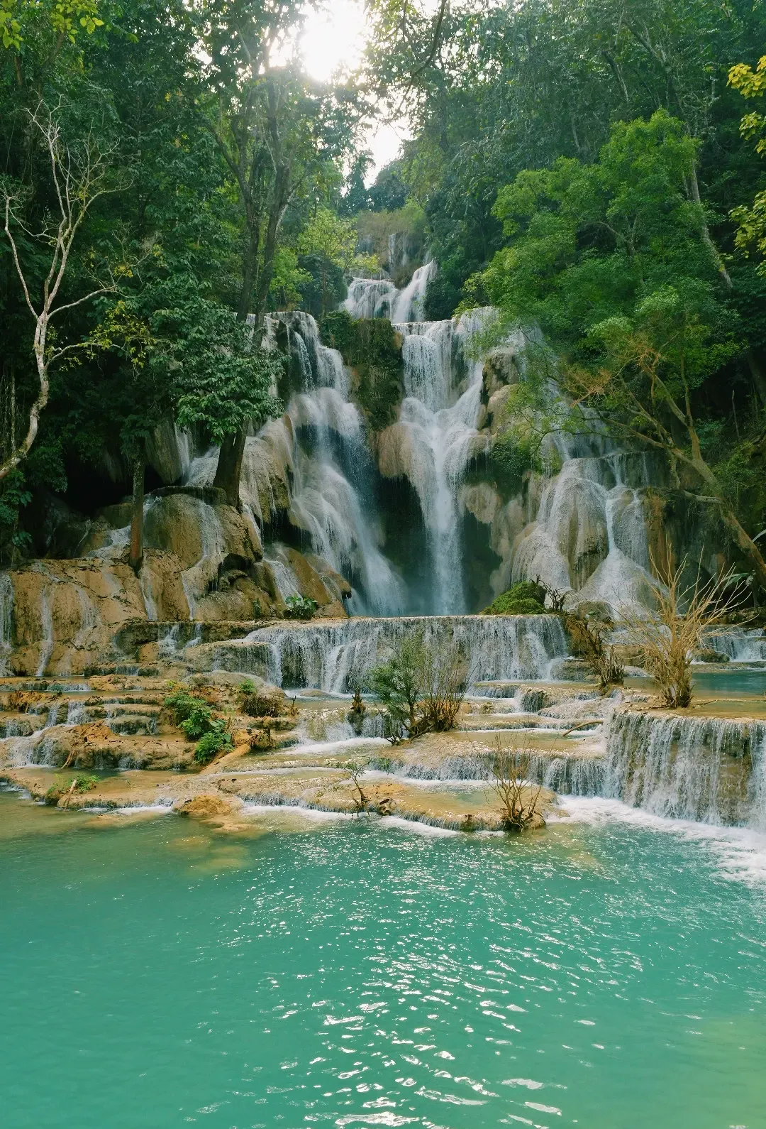 d4487fdaa64a256a42bd76bc969243a3-sz_3819522