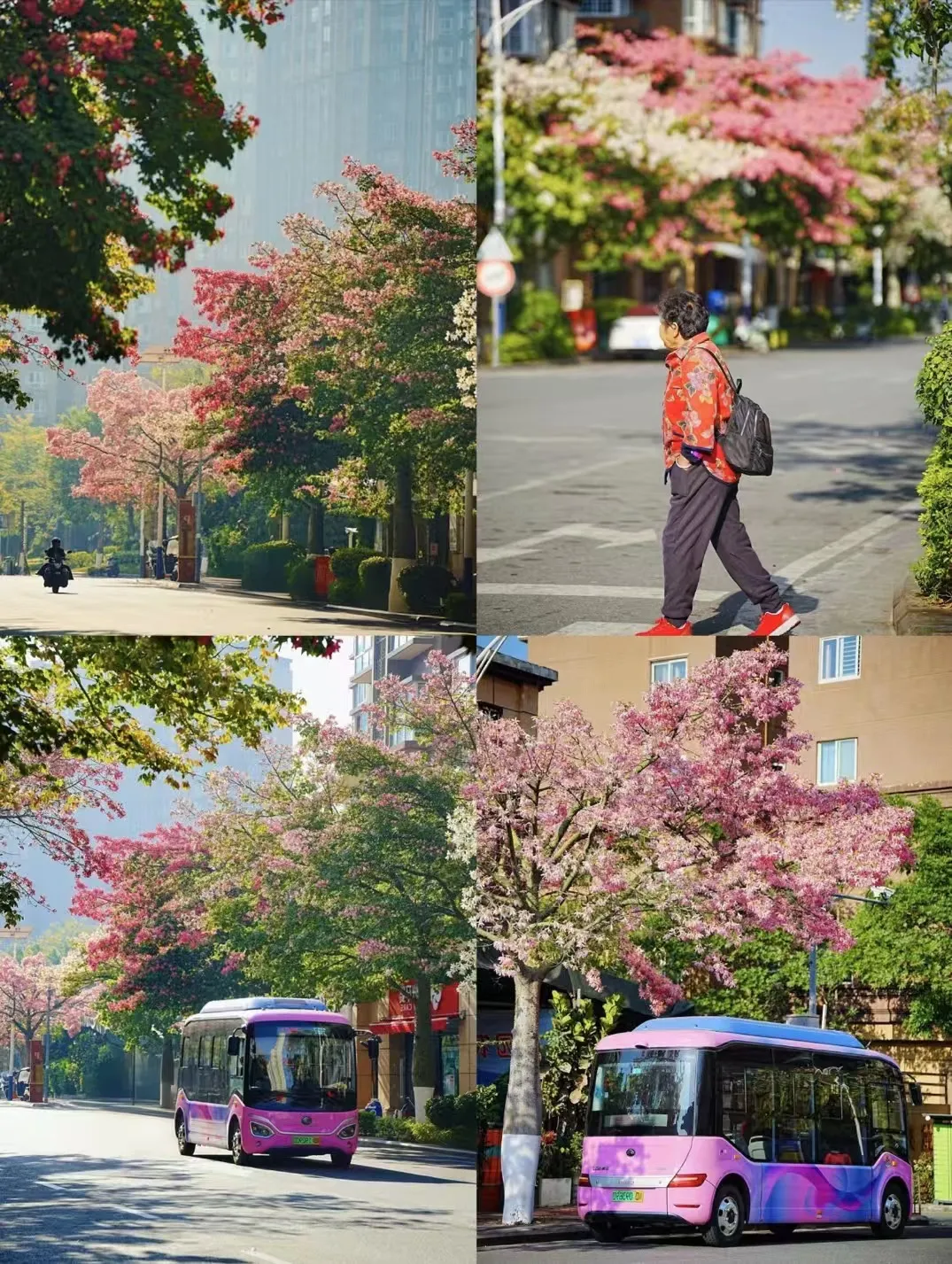 d44a555c97efcbf7049538fede1cf83c-sz_573145 d44a555c97efcbf7049538fede1cf83c-sz_573145