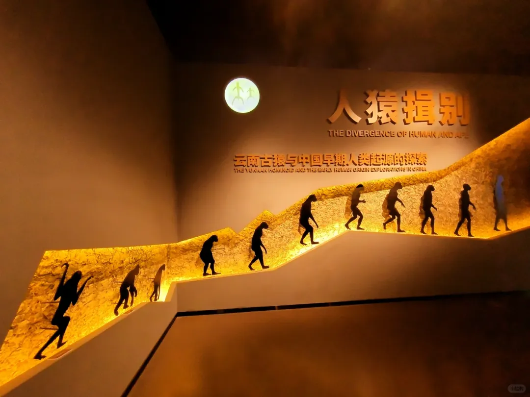 d4751ec580496c478f7c0c28b05a281d-sz_1390814-1