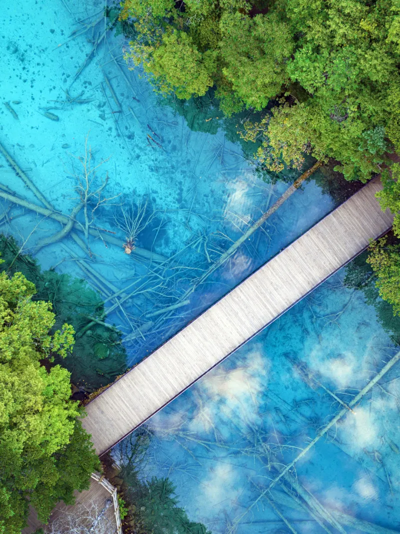 d48bad42e64d89d6d58d66e1a3d22d5a-sz_1665781 d48bad42e64d89d6d58d66e1a3d22d5a-sz_1665781