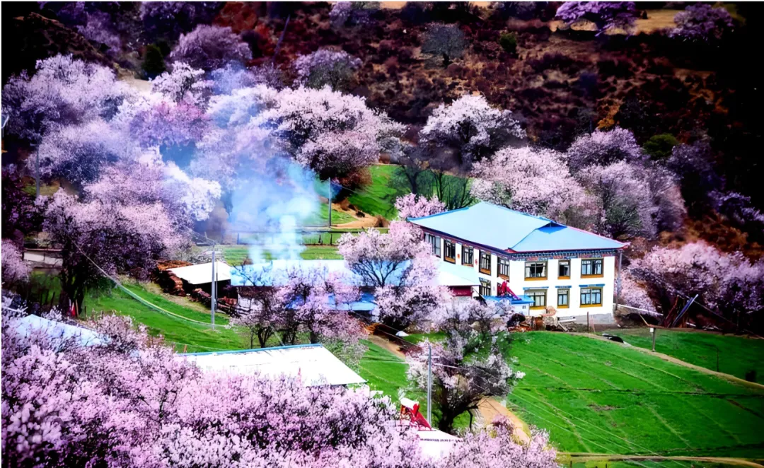 d4b3e7ca6981f129a1c979f0e7c6a02c-sz_2810295