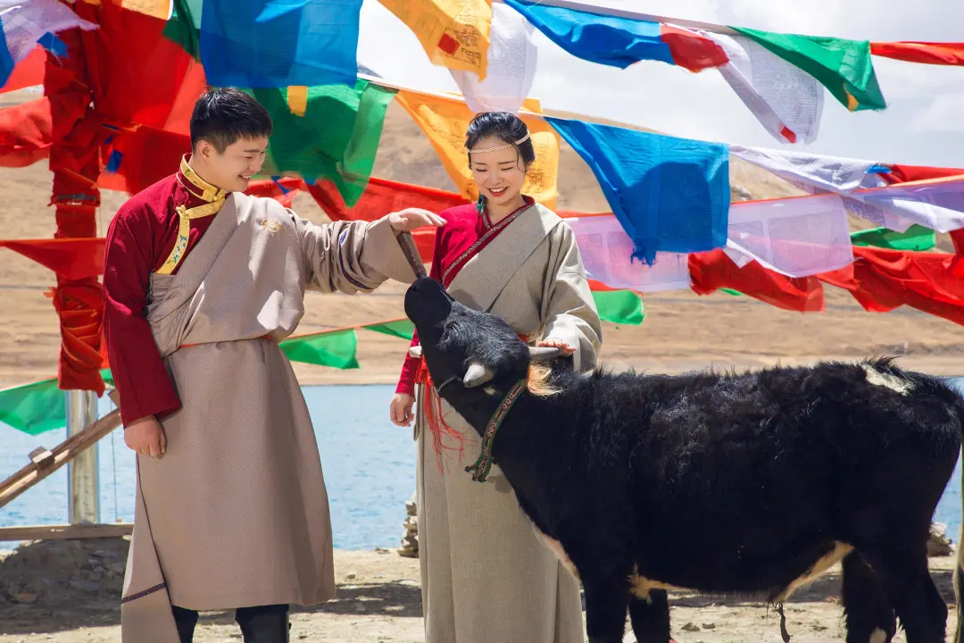 d4c6e4b53675943ce598ed6b69f2d436-sz_427369