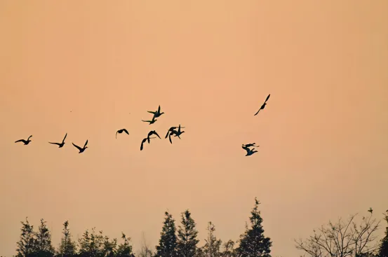 d4d8fb986833cc965c94a0f214906ce1-sz_140818