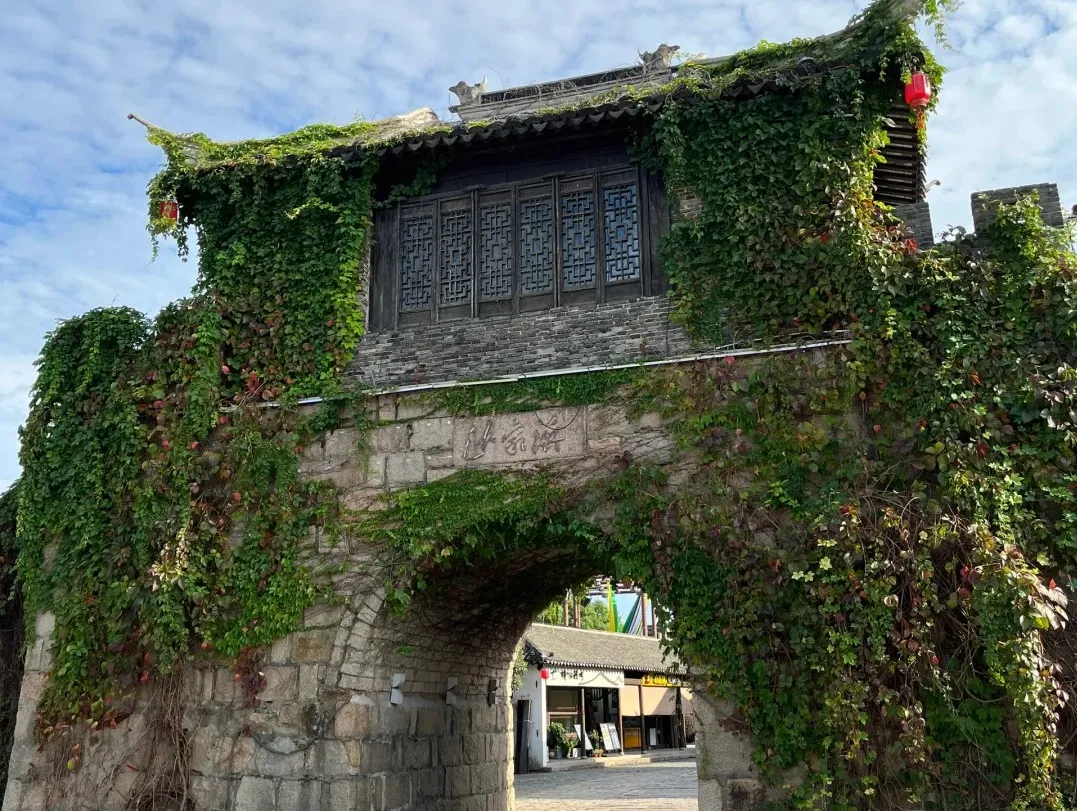 d50693c03953d3d5f25e9a294a1a7fa7-sz_587112