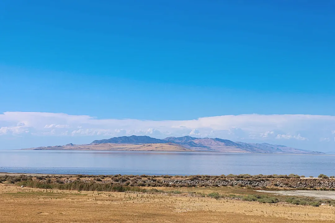 d541dd47e207eb5f33057c923a795401-sz_1290476 d541dd47e207eb5f33057c923a795401-sz_1290476