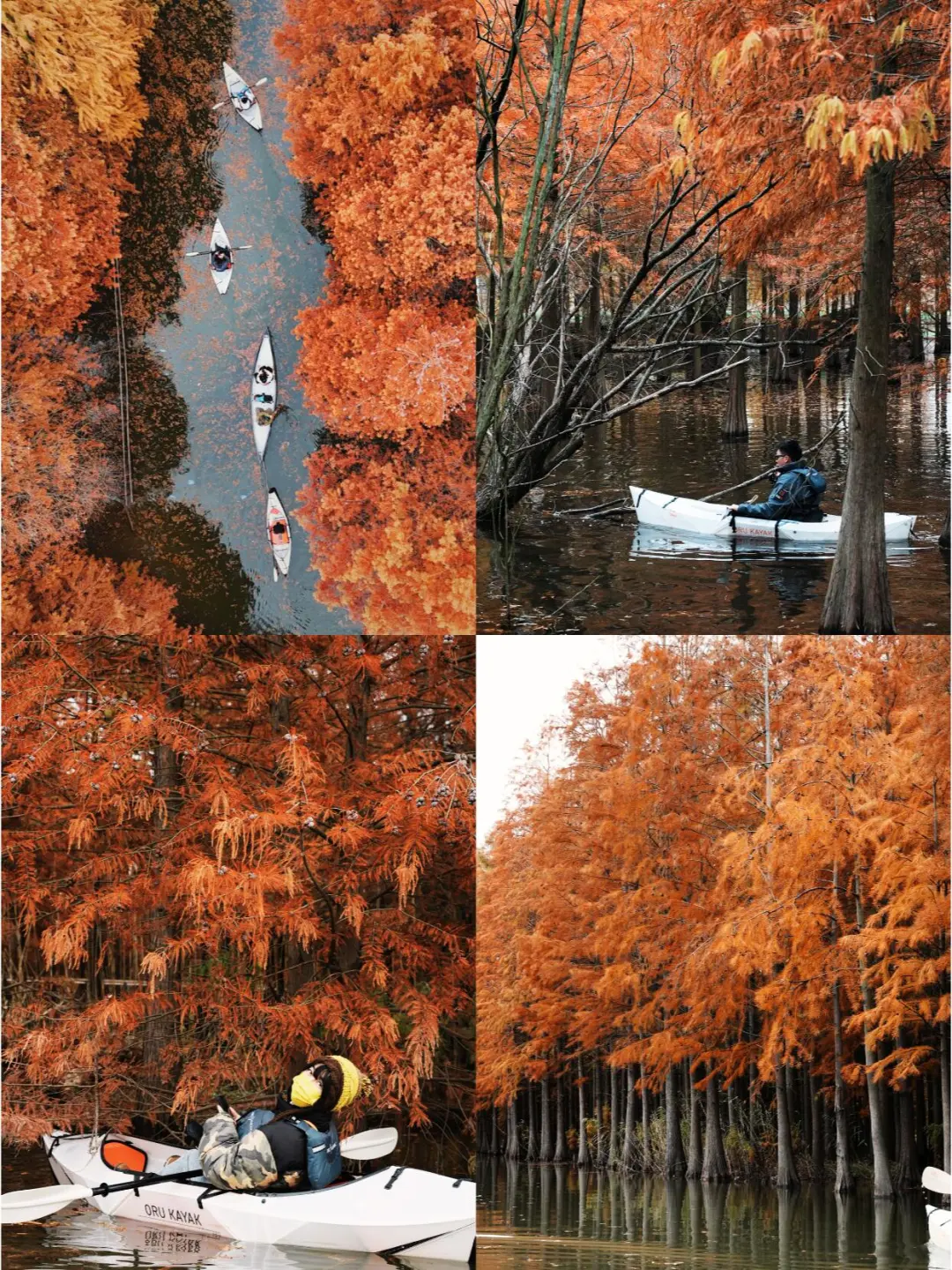 d55a4f20341920f62c5fc92e6fe3da46-sz_550541 d55a4f20341920f62c5fc92e6fe3da46-sz_550541