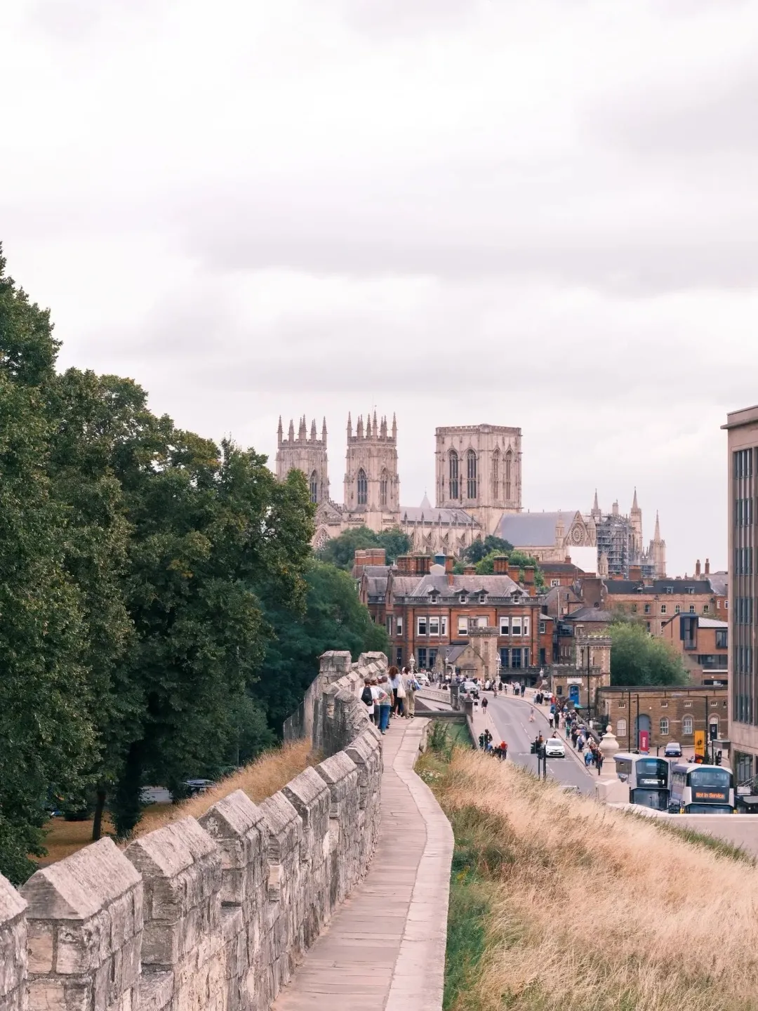 d5616d61ce00562957daaa2974fea60e-sz_455288