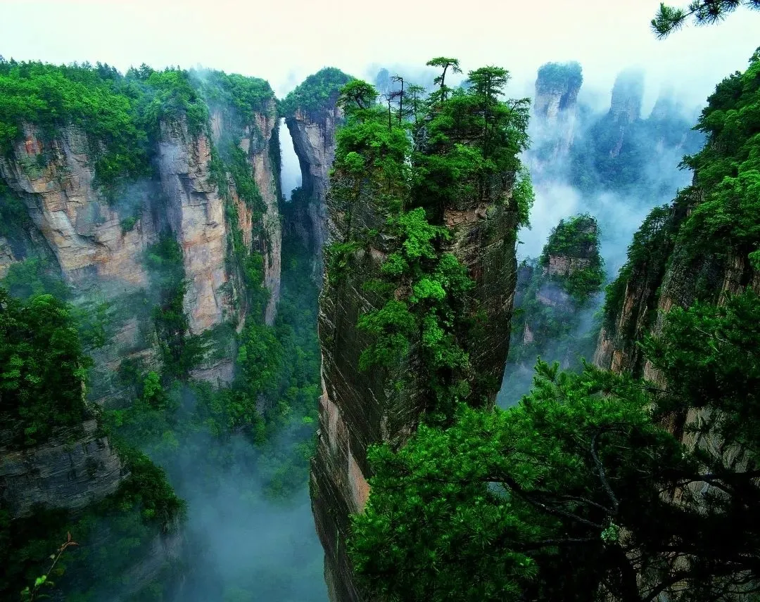 d56b3ce3bee711ff78266fc2b4094314-sz_226376