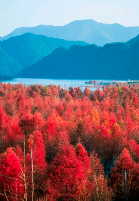 d57d826031285b1e95c06ced5cdd9fe1-sz_627956 d57d826031285b1e95c06ced5cdd9fe1-sz_627956