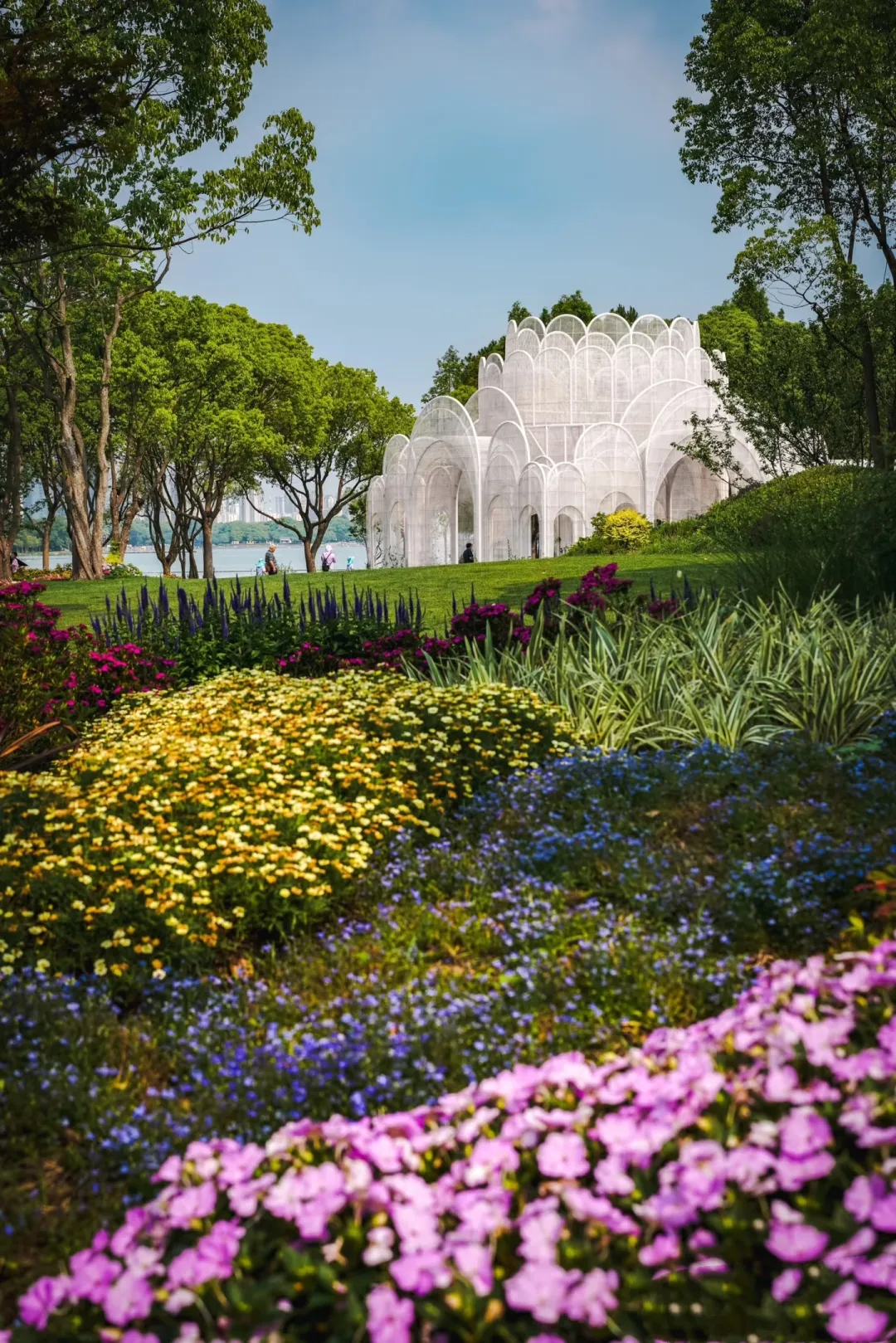 d584a97aad6441d9b07cacbf649871fe-sz_2113220