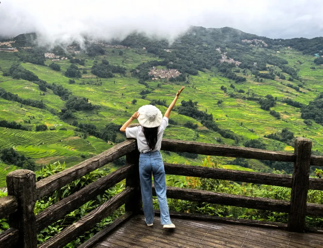 d588d47a0d170997080256397d3dc833-sz_3452669