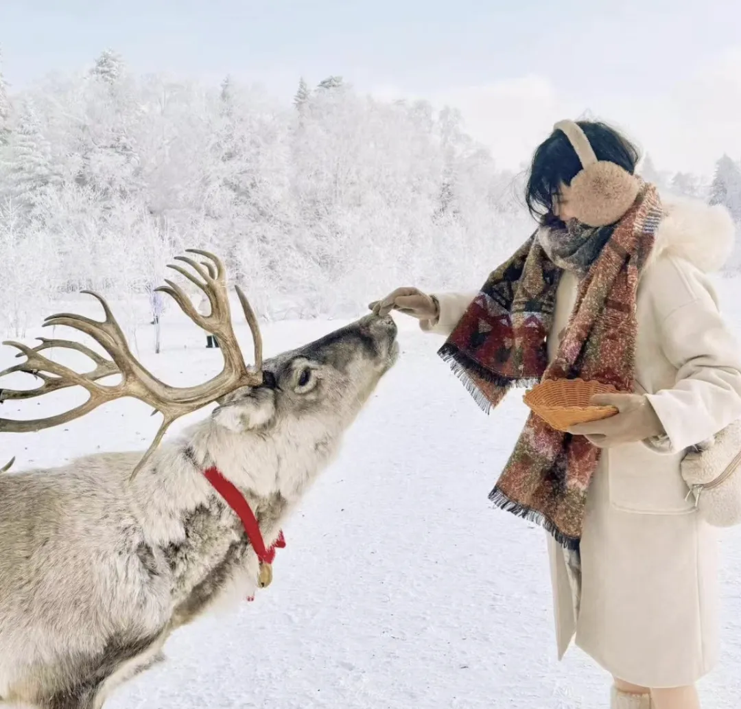 d58afbc74948a06ae72d2038f1320549-sz_1826345 d58afbc74948a06ae72d2038f1320549-sz_1826345