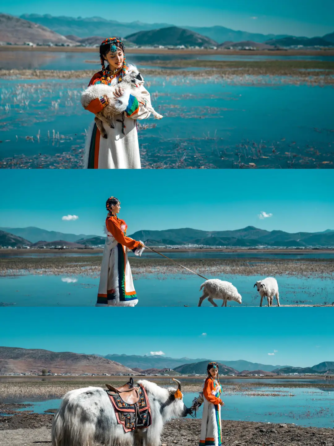 d5935a261617817d33dec09ba4a4b60b-sz_405043