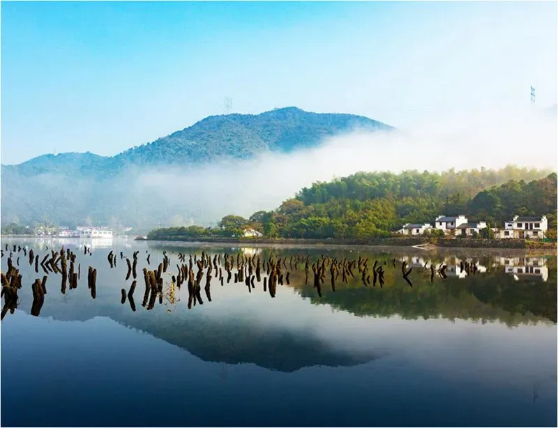 d59a0dda0781008f5f8c8fa519dc0b88-sz_469396