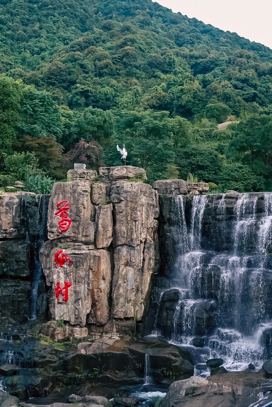 d5b17e689450658231cdf853c95a65c8-sz_816525 d5b17e689450658231cdf853c95a65c8-sz_816525