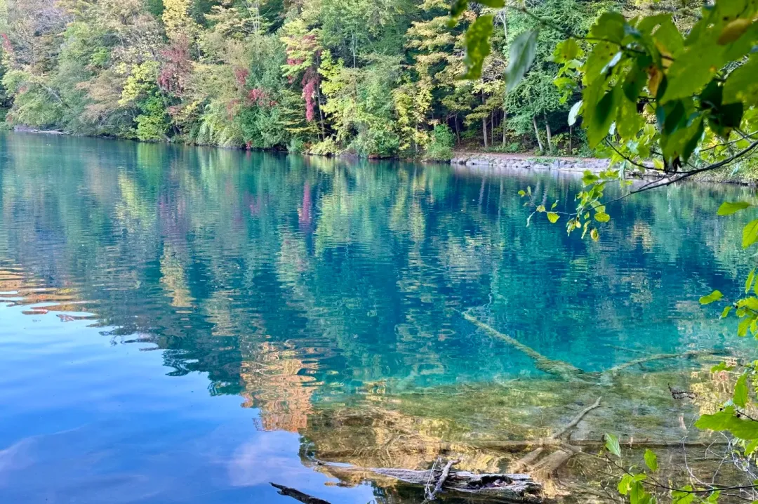 d5e39b72aea72c12a42673102473ba08-sz_686964