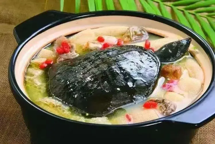 d5e9fe7e6eab00cb02f1fb9a3d2f9546-sz_83240