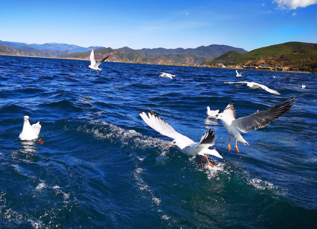 d6169eddc274a27b4dc8bd6148062cf7-sz_3266621