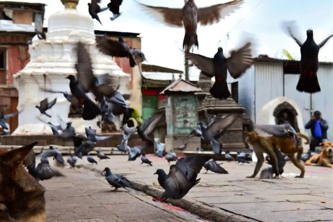 d62d546d47217d66b2c5a7525afde4d2-sz_209805