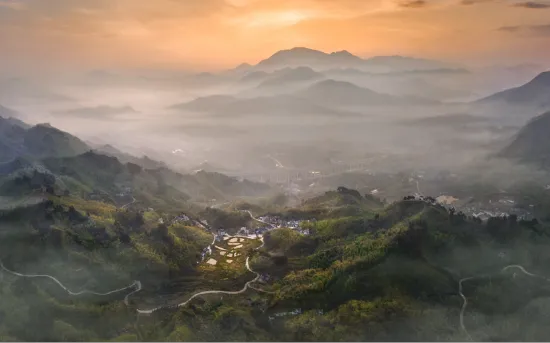 d65eaf707d4ebe4b3337f2410d628172-sz_289779