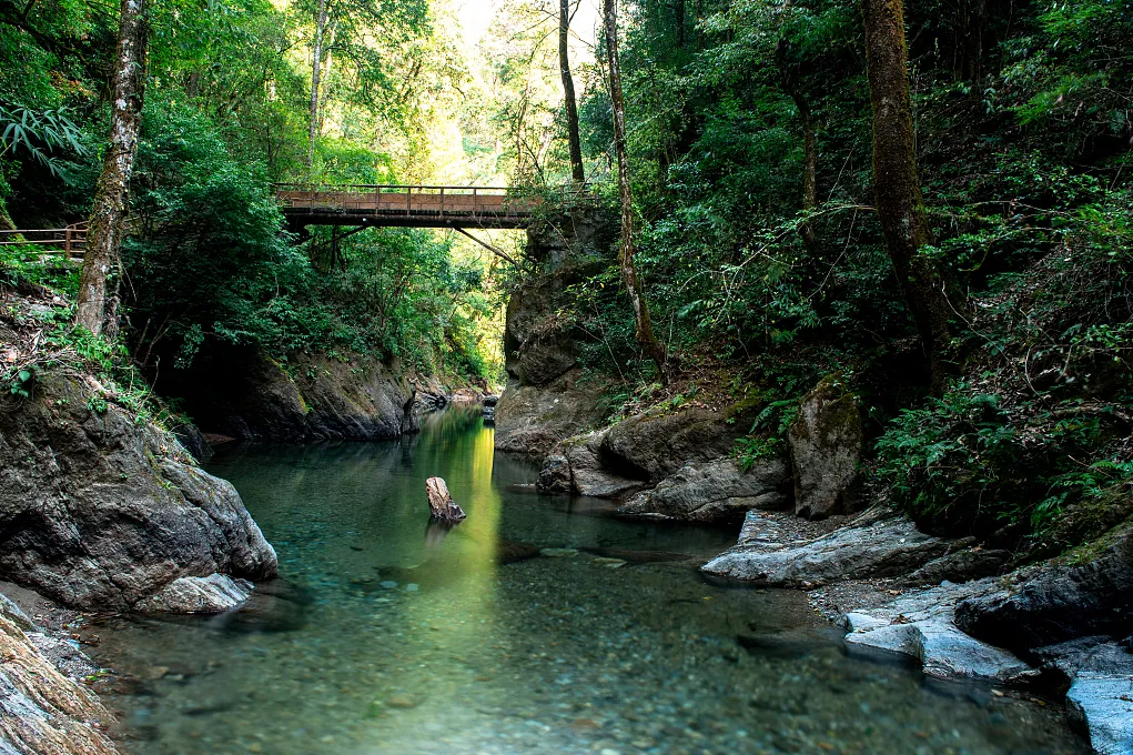 d6d8ae9d19f0eea5164eb9888fc19a89-sz_1272961