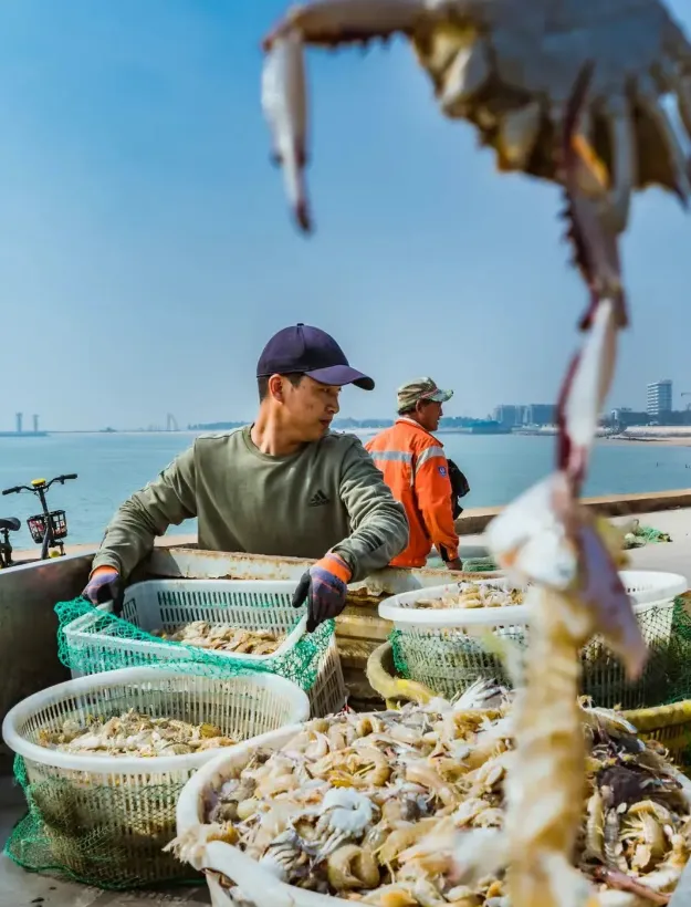 d6e7649e40516bdf916d39ba2db067d1-sz_801203