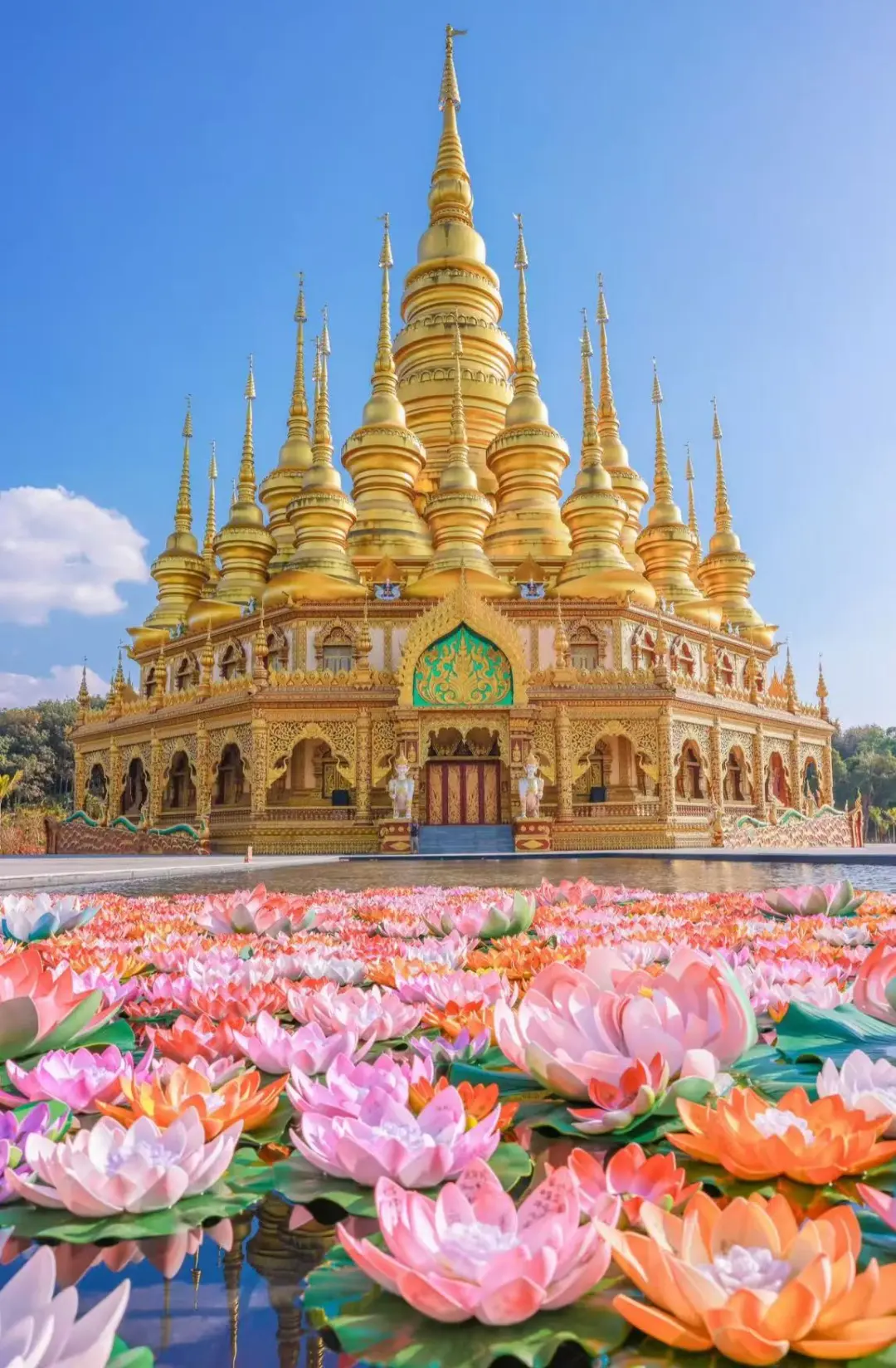 d733e19314f6c458f4c442afe2c77da9-sz_295100 d733e19314f6c458f4c442afe2c77da9-sz_295100