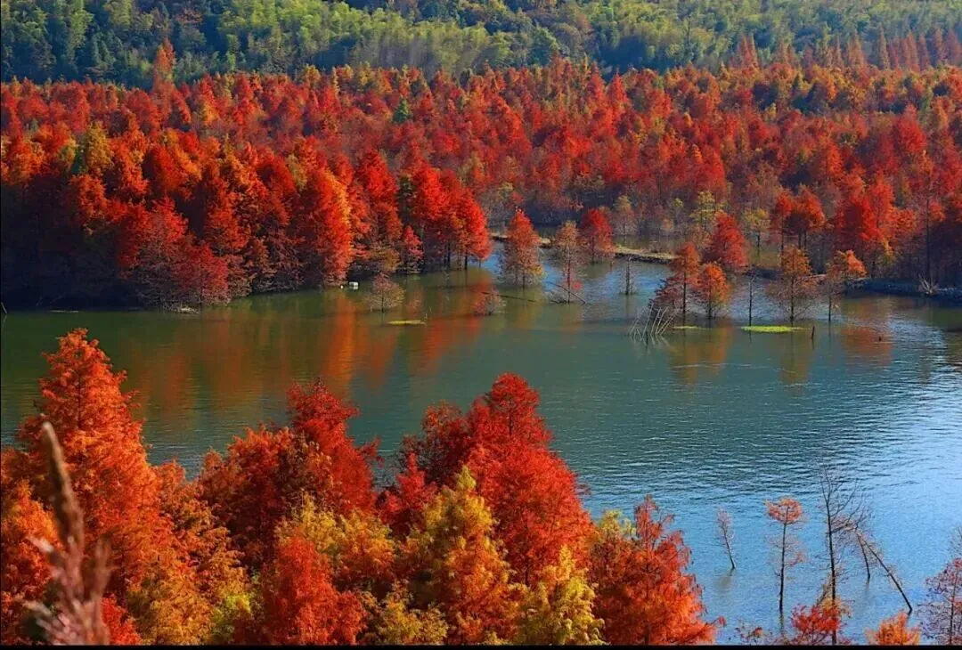 d7360279d1dd67df5b6f3f243789033a-sz_182459