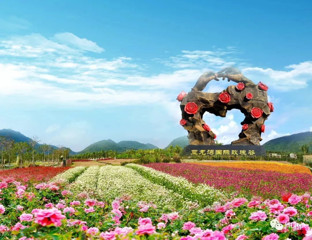 d73924bed820f0cf730b0cca2c8414d2-sz_611716 d73924bed820f0cf730b0cca2c8414d2-sz_611716